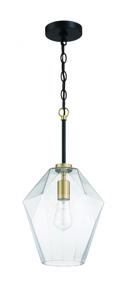 1 Light Pendant